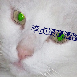 李贞贤高清图片