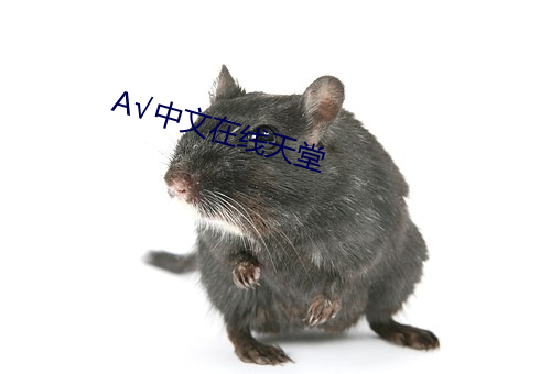 √中(zhōng)文在线(xiàn)天(tiān)堂(táng)