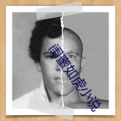 閨蜜如虎小說