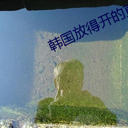 韩国放得开的直播软件