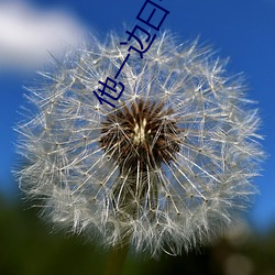 他一边曰(yuē)一边吃我(wǒ)奶小说免
