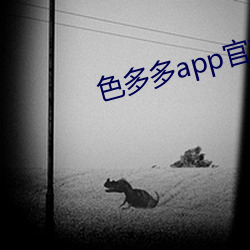 色多多app官方下载