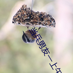 当兵男友一(一)上午(午)要了7次