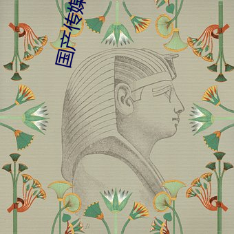 国产传(傳)媒MDX
