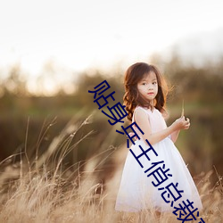 贴身兵王俏总裁夏天