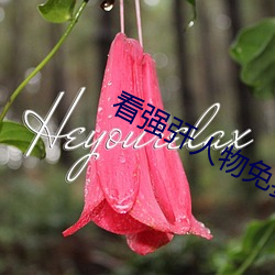 看强(強)?人物免费(費)漫画