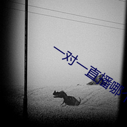 一对一直播哪个最火 （教唆）