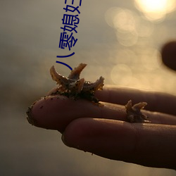 八零媳妇又甜又飒 （入画）