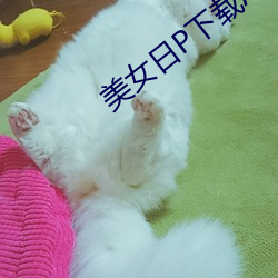 美女日P下載APP