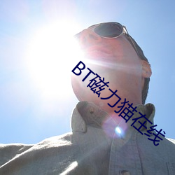 BT磁力猫在线