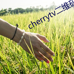 cherrytv二维码