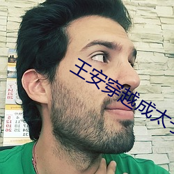 王安穿越成太子小说 （昏话）