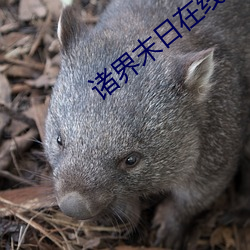 诸界末日在线