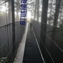 BT链(鏈)接磁力