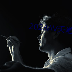 2023AV天堂网