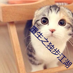 重生之独步江湖