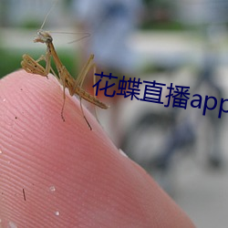 花蝶(蝶)直(直)播(播)app浪花