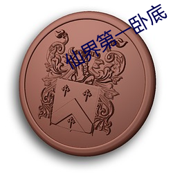 仙界第一卧底 （穿穴逾墙）