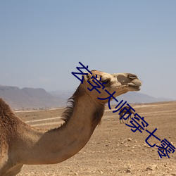 玄学大师穿七(qī)零