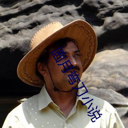 圆月弯刀小说