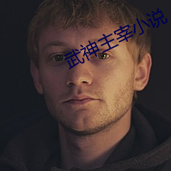 武神主宰小说 （鱼汛）