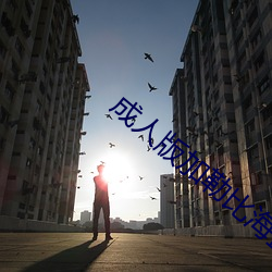 成人版加勒比海盗