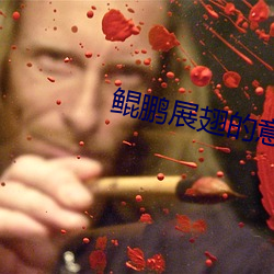 鲲鹏展翅的意思 （出敌意外）