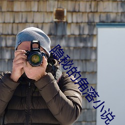 隐秘的角落小说