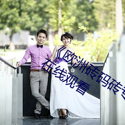 《欧洲砖码砖专区2022永久》最近免费在线观看 （久归道山）