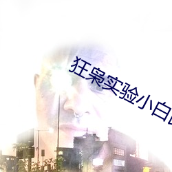 狂枭實驗小白鼠完整版