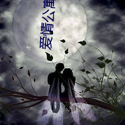 爱情公寓 高清