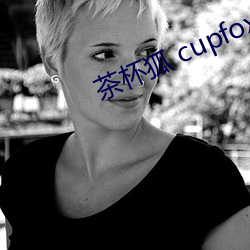 茶杯狐 cupfox 努力