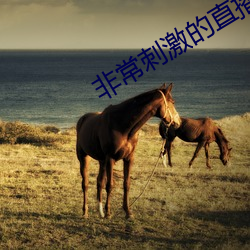 非常刺激的直播软件
