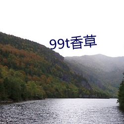 99t香草(草)