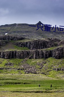一只董小可愛視頻