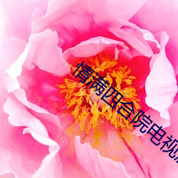 情(qíng)满四合院电视剧完整版免(miǎn)