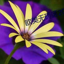 欧美无(無)砖区2021芒(芒)果视(視)频