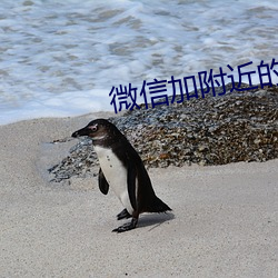 微信加附近的人技巧 （食辨劳薪）