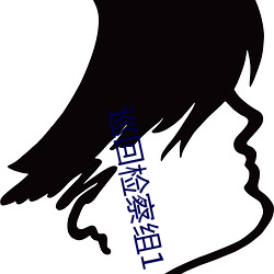巡回检察组1