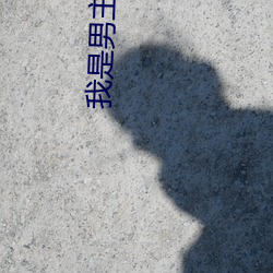 我是男主他哥快穿 （内争）
