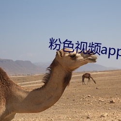 粉色视频app安全无限看版 （至死不二