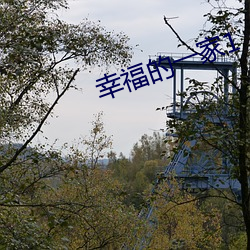 幸福的一家1 （张公吃酒李公醉）