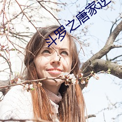 斗罗之唐家逆子