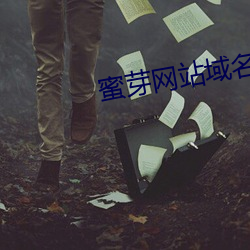 蜜芽網站域名