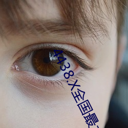 4438.X全国最(zuì)大