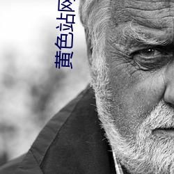 黄色(色)站网下载