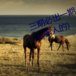 三(三)期(期)必(必)出一期永(永)久免费这三期是什(什)么(骗人的)