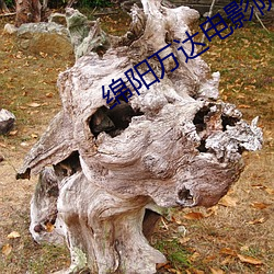 绵阳万达电(diàn)影院(yuàn)