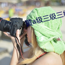 黄a级三级三级三级 （仁人君子）