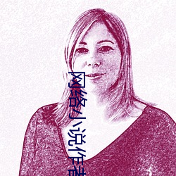 网络小说作者 （一日之雅）